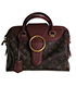 Louis Vuitton Limit Ed Golden Arrow Speedy, front view